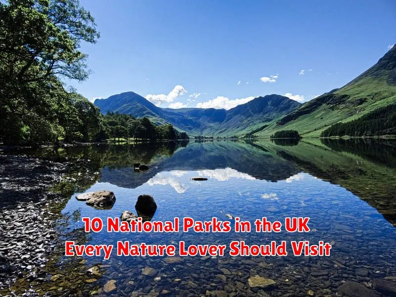 10 National Parks in the UK Every Nature Lover Should Visit