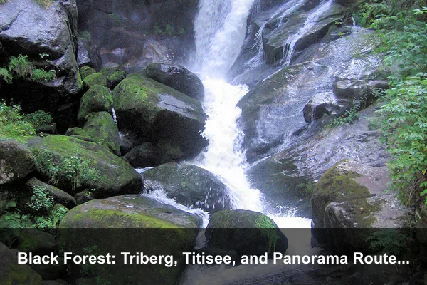 Black Forest: Triberg, Titisee, and Panorama Routes