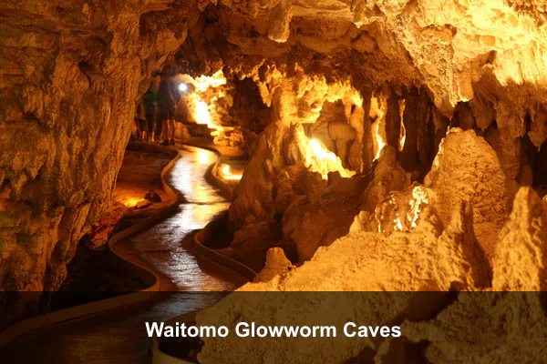 Waitomo Glowworm Caves