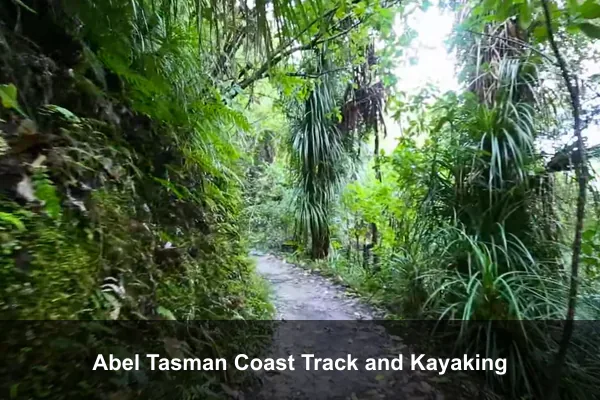 Abel Tasman Coast Track and Kayaking