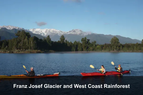Franz Josef Glacier and West Coast Rainforest
