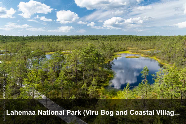 Lahemaa National Park (Viru Bog and Coastal Villages)