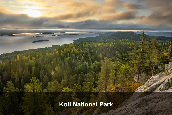 Koli National Park