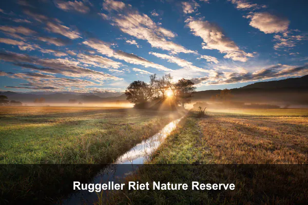 Ruggeller Riet Nature Reserve