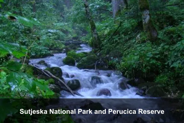 Sutjeska National Park and Perucica Reserve