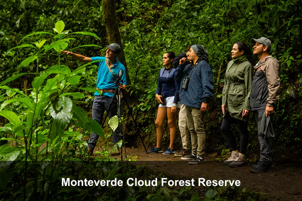 Monteverde Cloud Forest Reserve