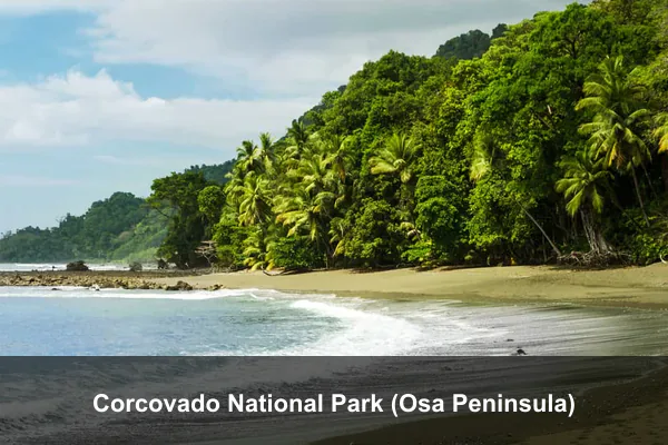 Corcovado National Park (Osa Peninsula)