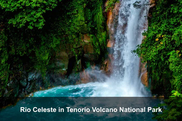 Rio Celeste in Tenorio Volcano National Park
