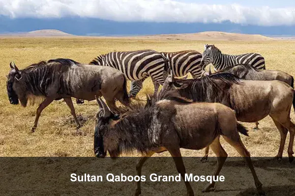 Sultan Qaboos Grand Mosque