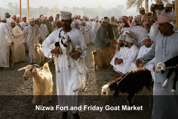 Nizwa Fort and Friday Goat Market