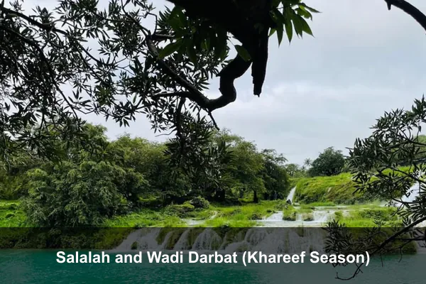 Salalah and Wadi Darbat (Khareef Season)