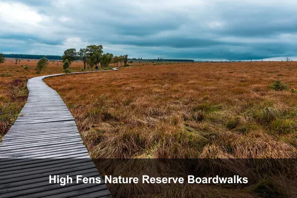 High Fens Nature Reserve Boardwalks