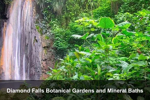 Diamond Falls Botanical Gardens and Mineral Baths