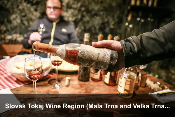 Slovak Tokaj Wine Region (Mala Trna and Velka Trna)