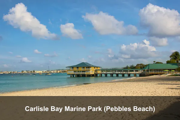 Carlisle Bay Marine Park (Pebbles Beach)