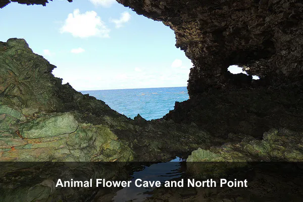 Animal Flower Cave and North Point