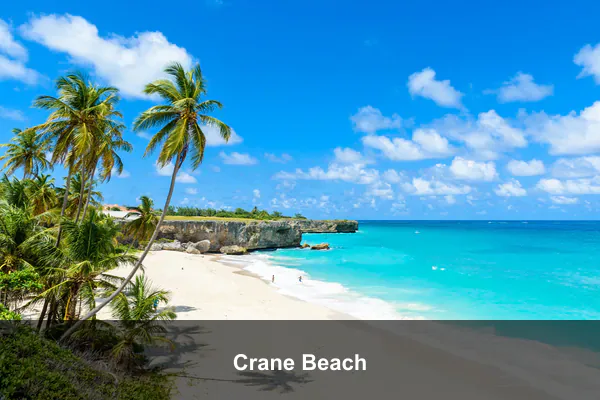 Crane Beach