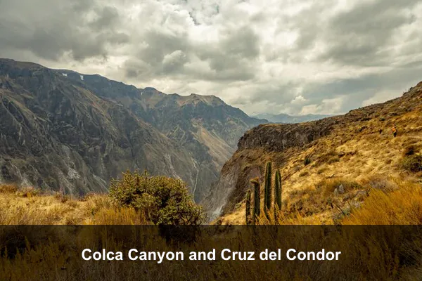 Colca Canyon and Cruz del Condor