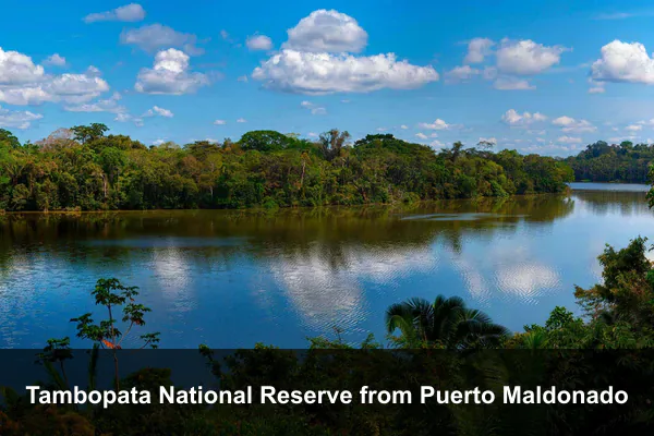 Tambopata National Reserve from Puerto Maldonado